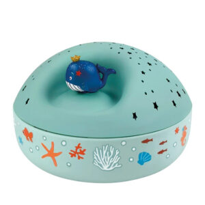 Proiettore di stelle oceano