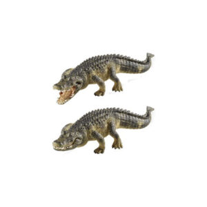 Alligatore