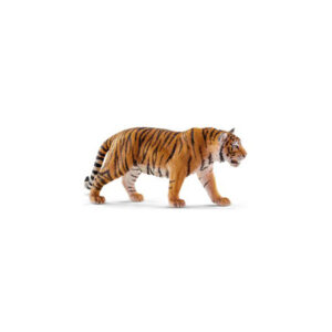 Tigre
