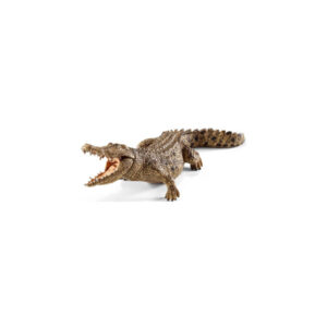 Coccodrillo