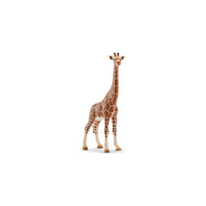 Giraffa