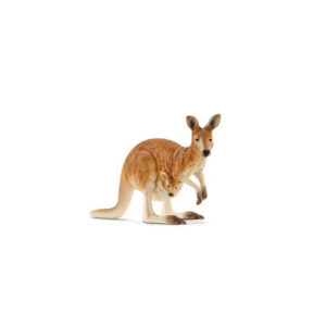 Canguro