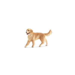 Cane Golden Retriever