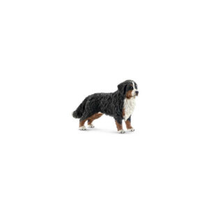 Cane Bovaro Bernese