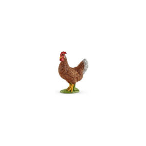 Gallina