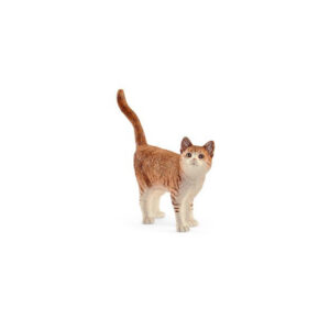 Gatto