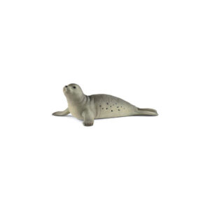 Foca
