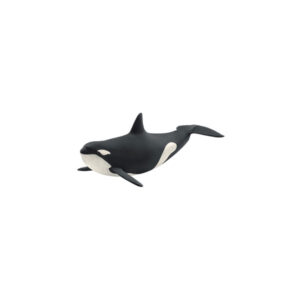Orca