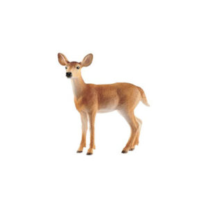 Cerva Virginiano