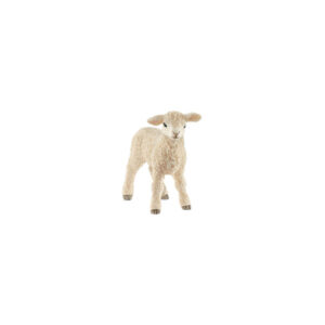 Agnello