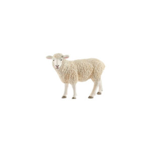 Pecora