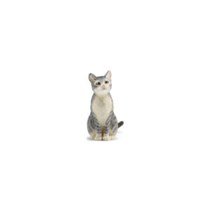 Gatto grigio