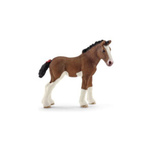 Puledro Clydesdale