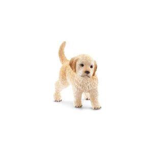 Golden retriever cucciolo
