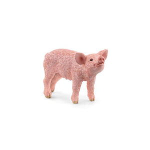 Porcellino