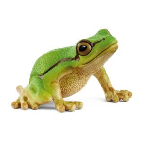 Rana