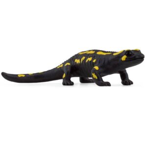 Salamandra