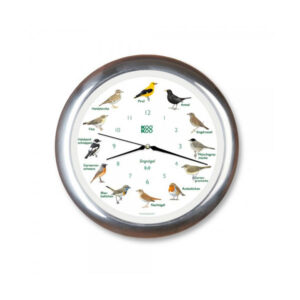 Orologio con uccelli alu