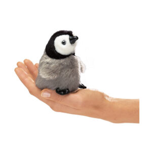 F Baby pinguino