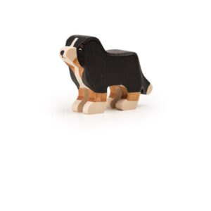 Cane Bovaro medio
