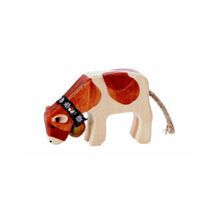 Vitello Red Holstein che bruca