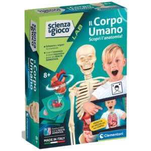 Il corpo umano