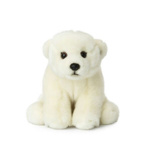 Orso bianco