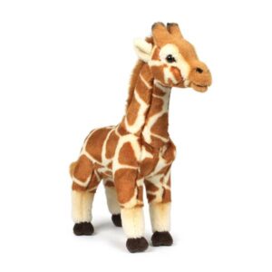 Giraffa