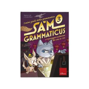 Sam grammaticus 3