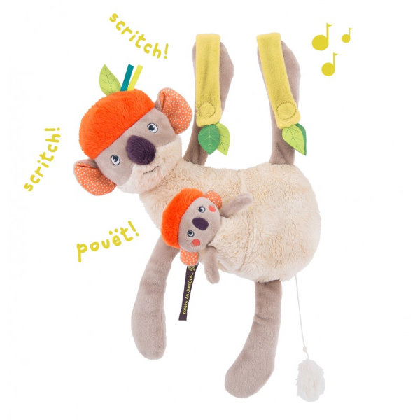 Koala musicale