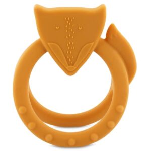 Anello della dentizione volpe