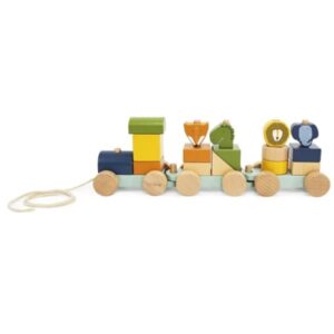 Trenino animali blu
