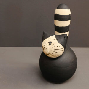 Gatto a righe nero