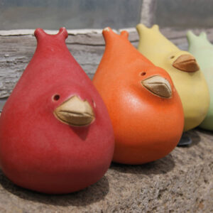 Uccellini vari colori