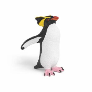 Pinguino saltarocce